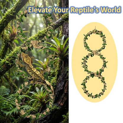 3-Tier Snake Climbing Rings for Ball Python - Natural Jungle Vine Enclosure Accessories, Reptile Habitat Decor, Hanging Enrichment Toys for Corn Snakes, Geckos, and Small Lizards