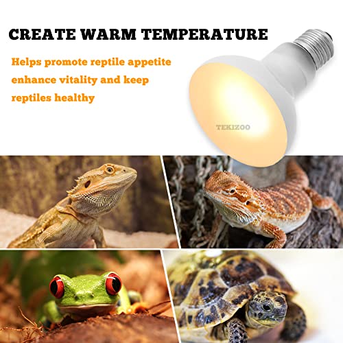 Heat Lamp Bulbs Reptile Basking Light Spot Daylight for Bearded Dragon,Lizard,Tortoise,Amphibian 100W(2 Pack)