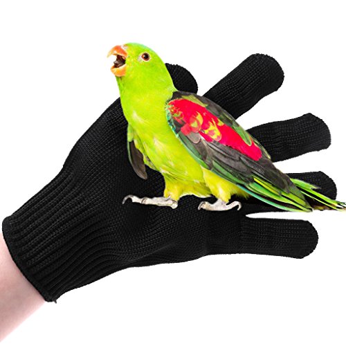 Bird Training Anti-Bite Gloves, Pet Chewing Protective Handling Gloves for Training Bird Conures Finches Macaws Parakeets