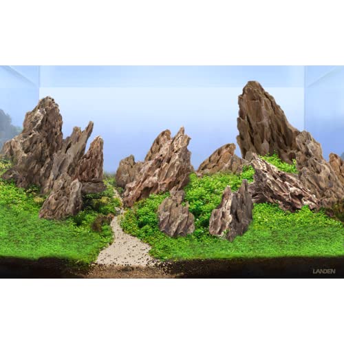 Dragon Stone Natural Aquascaping Rock 16lb Planted Aquarium Decor | Ohko-style texture; planted, reptile terrarium - size: 01 Dragon(Ohko) Stone(2-8inch,16lbs)