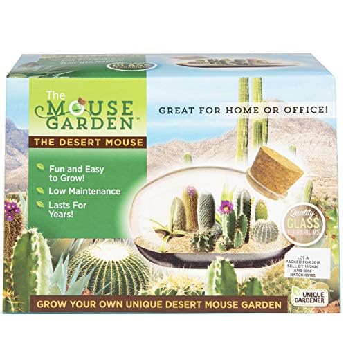 Mini Office Cactus Glass Terrarium Starter Kit with Complete Supplies - The Desert Mouse Tiny Garden - Fun to Grow, Low Maintenance - Perfect for The Indoor Office Or Home Tabletop or Desk!