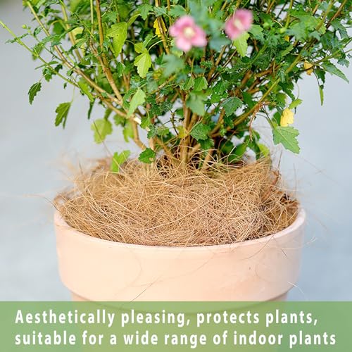 Natural Coconut Husk Silk, Organic Pure Coconut Husk Fiber Orchid Plant Coconut Fiber Substrate Coco Coir Fiber Greenery Covering Coconut Fiber for Pot Plant Carnivorous Plants (0.44 pounds)