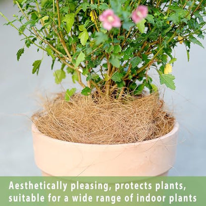Natural Coconut Husk Silk, Organic Pure Coconut Husk Fiber Orchid Plant Coconut Fiber Substrate Coco Coir Fiber Greenery Covering Coconut Fiber for Pot Plant Carnivorous Plants (0.44 pounds)
