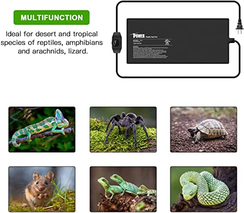 iPower 8X18 Inch 24 Watts Reptile Heating Mat with Adjustable Temperature Controller Under Tank Warmer Terrarium Heat Pad for Reptiles and Amphibians, for 50-60 Gallon Tank, 2 Pack - size: 8 X 18 Inch, style: 2 Pack with Adjustable Knob