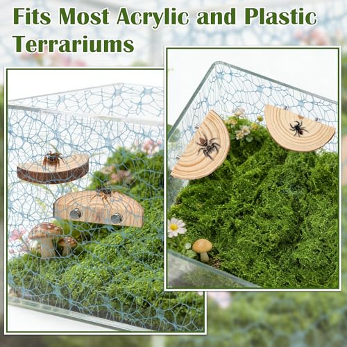 Jumping Spider Habitat Décor Jumping Spider Enclosure Accessory | 2PCS Spider Web, 1 Piece Faux Grass, 2PCS Natural Wood Ledge, 4PCS Strong Magnet for Small Reptile Enclosures