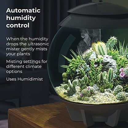 biOrb AIR 30, Fully Automated Terrarium for Arid, Temperate, or Tropical Plants, White - color: White