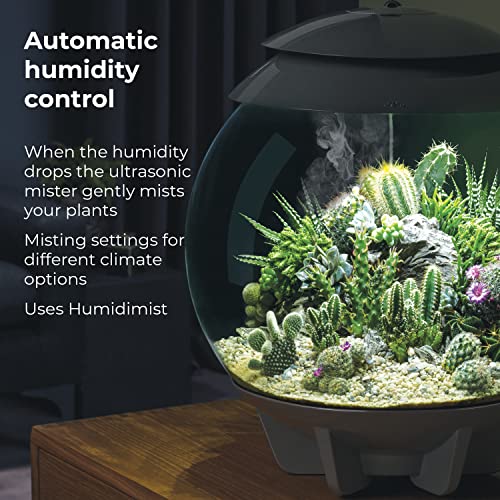 biOrb AIR 30, Fully Automated Terrarium for Arid, Temperate, or Tropical Plants, Gray - color: Grey