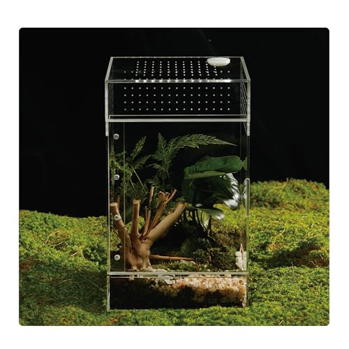 Acrylic Terrarium for Reptiles & Spiders – Small/Medium/Large Leak-Proof Enclosure (Horizontal/Vertical) | Ideal for Tarantulas, Jumping Spiders, Frogs & Geckos(Large, Vertical) - size: Large