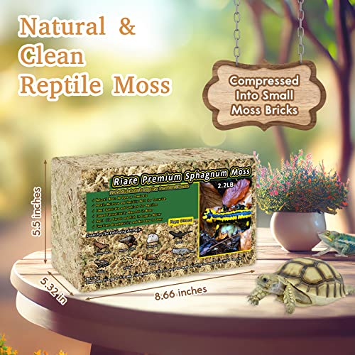 Riare 2.2LB Natural Sphagnum Moss for Reptiles- Terrarium Reptiles Moss | 50QT High Expansion, Moisture Retention, Long Fiber Dried Moss Bedding for Lepard Gecko Snakes Turtles Frogs Spiders - color: 2.2 LB