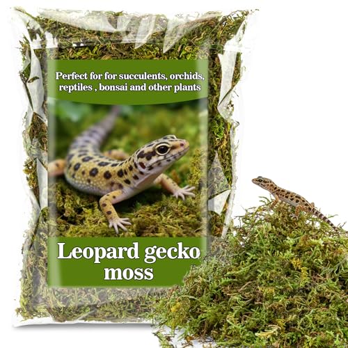 RAINFLOW Sphagnum Moss for Reptiles - 5 Oz Terrarium Reptiles Moss Green Dried Peat Moss Habitat Bedding Moss for Leopard Gecko Turtle Frog Snakes Lizards