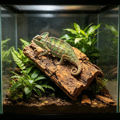 NUOBESTY 8 Pack Cork Bark for Reptile Hides and Terrarium Decor | Natural 2 X 3.9 in Reptile Tree Bark Panels for Gecko Climbing, Custom Shelters, Plant Mounting and Bioactive Layouts