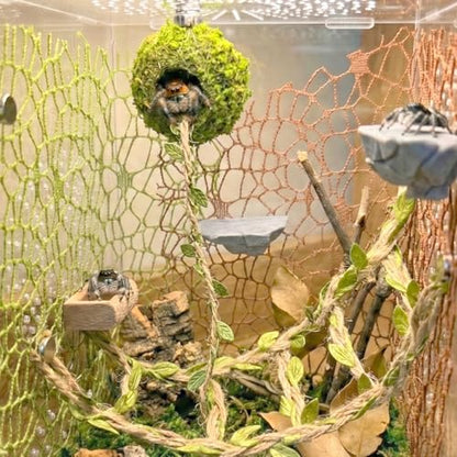 Jumping Spider Enclosure Accessories Kit - Magnetic Moss Ball Hideout, 2 Rock Ledges, Feeding Bowl, Climbing Mesh Nets & Rope Ladder - Natural Forest Habitat Decor for Regal (Moss Cave with Rope) - size: Moss Cave with Rope