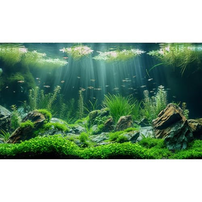 Underwater Aquatic Seagrass Aquarium Background Under The Sea Grass Leaves Lush Green Moss Fish Tank Background Deep Sea Rock Cork with Foggy Misty Sunbeams Terrarium Backgrounds Wallpaper 72x18in - size: 72(W)x18(H)inches/ 180(W)*45cm(H)