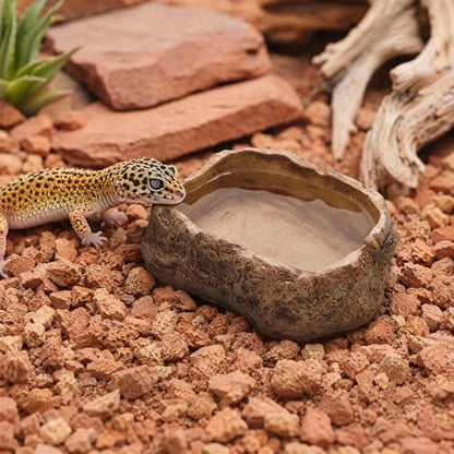 VelTherm Escape-Proof Reptile Bowl, Small Worm Dish with Smooth Vertical Inner Wall for Mealworms, Weighted Anti-Tip Food and Water Dish for Leopard Geckos, Small Lizards