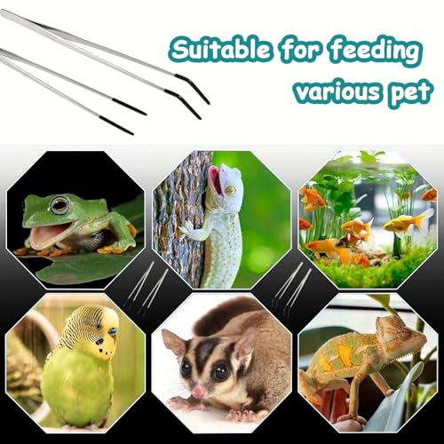 2 Pack Extra Long Stainless Steel Reptile Feeding Tongs with Rubber Tip - 10.6" Straight And Curved Long Tweezers for Aquariums, Feeder for Beard Dragons, Lizard and Snakes (Silver)