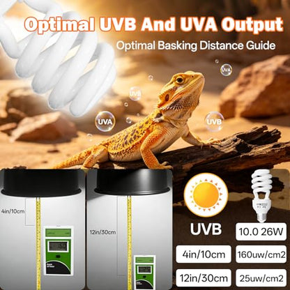 UVB Reptile Light Bulbs 10.0: 26W High Output UVB Light for Bearded Dragon, 2 Pack UVA UVB Light for Reptiles, Reptile UVB Bulb Compact Fluorescent Terrarium Lamp for Tortoises- UV Sensor Test Card - size: 6.5INCH-10.0