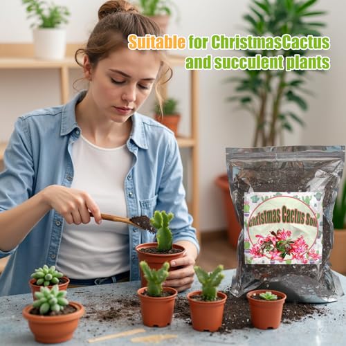 Doter Christmas Cactus Potting Soil Mix 2qt, Ideal for Succulents, Christmas Cacti, and Other Indoor Potted Plantings - size: 2qt