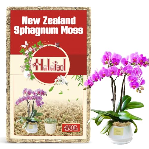 Halatool Premium New Zealand Sphagnum Moss, 500g (40L When Hydrated) | Long Fiber, Retain Moisture, Moss for Orchid Repotting, Succulents, Sarracenia, Potted Plants, Gardening & Reptiles - size: 40L