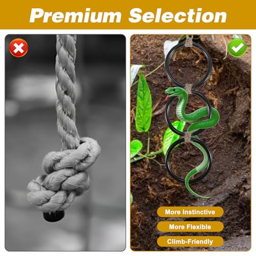 Snake Enclosure Accessories, Reptile Climbing Ring Hammock Set, Snake Tank Accessories for Ball Python, Corn Snake, Leopard Gecko, Chameleon, Lizard, Enrichment Toys Climbing Resting Perch