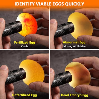 Egg Candler for Chicken Eggs, Rechargeable Bright Cool Light Egg Candler Tester for Chicken Duck Eggs, Handheld Egg Light for Incubators, Farm & Home Use