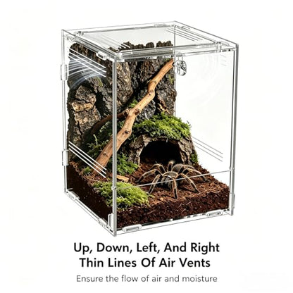 Vertical Acrylic Terrarium, 4.5" x 3.9" x 6.5" Clear Small Pet Enclosure with 304 Stainless Steel Mesh Top, Waterproof Base, Secure Door for Jumping Spider, Tarantula Sling and Small Invertebrates