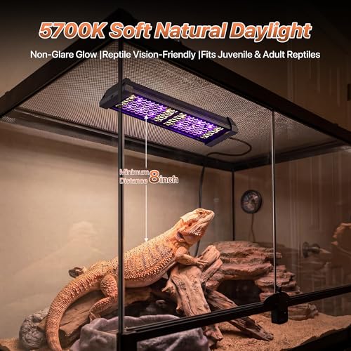 LED UVB Reptile Light with Timer & Dimmer (8.5inch) | 8W Full Spectrum UVA UVB Lamp with 3 Lighting Modes,5-Level Dimmable,4/8/12H Cycle Timer,for Bearded Dragon,Gecko,Tortoise - size: 8.5inch