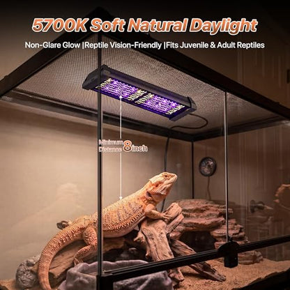 LED UVB Reptile Light with Timer & Dimmer (8.5inch) | 8W Full Spectrum UVA UVB Lamp with 3 Lighting Modes,5-Level Dimmable,4/8/12H Cycle Timer,for Bearded Dragon,Gecko,Tortoise - size: 8.5inch