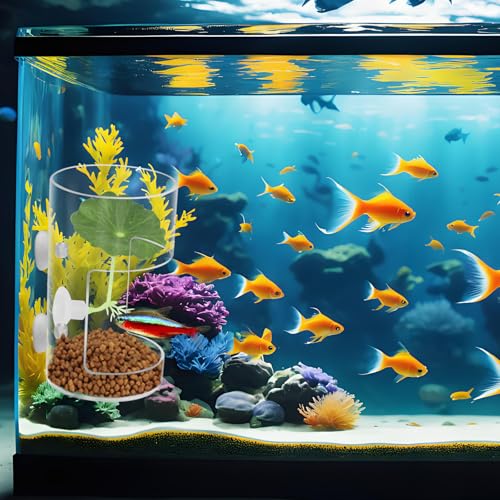 Fish Tank Food Tray with Suction Cups Comes with Two Single-Layer Small Lotus Leaves, Feeding Tube Supplies, Breeder Box for Aquarium, Round Aquariums & Fish Bowls Accessories - color: 4.Transparent