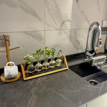 Kingbuy Plant Propagation Station with 5 Bulb Vases Retro Wooden Stand Desktop Glass Planter Terrarium for Hydroponics Plants Home Office Décor - size: 5 Bulb Vase
