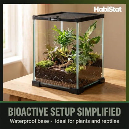 Habistat Mini Glass Terrarium for Reptiles 8"x8"x12" – Stackable Reptile Enclosure for Inverts & Amphibians with Lock & Watertight Base, Ideal Terrarium Tank for Geckos and Indoor Bioactive Setups - size: 8"x8"x12"