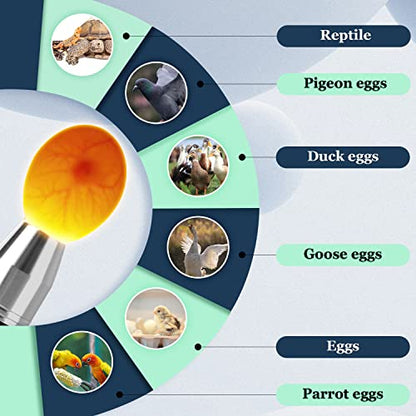 Egg Candler Light Rechargeable USB Eggs Candling Tester | Candling light for chicken eggs, egg checker incubator 5 modes, USB charging, for chicken duck quail dark eggs. - color: Black