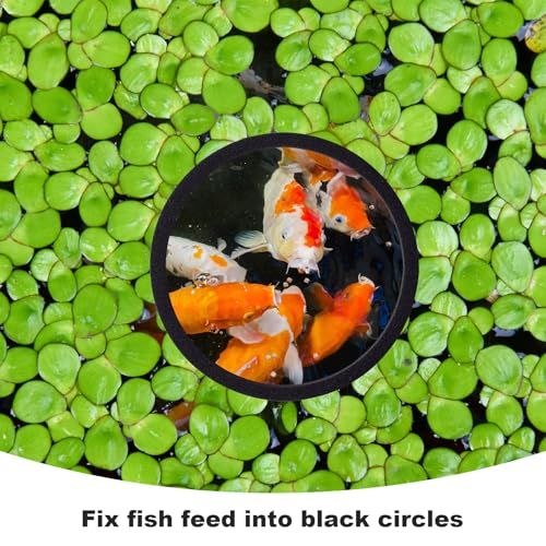 10pcs Fish Feeding Rings Set, 5 Sizes Floating Aquarium Plant Corral | Round Fish Tank Aquarium Accessories for Betta, Goldfish, Turtle (Black)