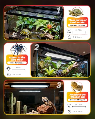 UVB Light for Reptile 8W, T5 UVB Reptile Light Fixture HO Combo Kit with Test Sensor Cards, 12" High Output Reptiles Light Bar UVA UVB Desert Lamp for Turtle Lizard Bearded Dragon Tank - color: 8w-12.2in Black