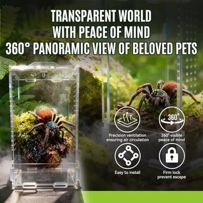 Jumping Spider Enclosure, Front-Opening Acrylic Spider Terrarium，Laser-Cut Biomimetic Ventilation System, Escape-Proof for Feeder Insects