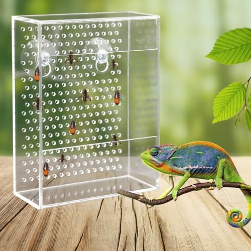 Bearded Dragon Feeder, Chameleon Bug Bowl, Transparentk Acrylic Reptile Feeder Box, Wall-Mounted Insect Food Dish with Suction Cups, Tank and Aquarium Accessories for Lizard Bearded Dragon Gecko Frog - size: Small - 4.7 × 1.7 × 6.3 inch