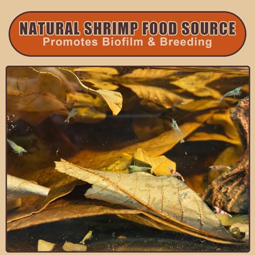 Indian Almond Leaves for Betta Fish,10Pcs Catappa,20Pcs Oak Leaves & 30Pcs Longan,Aquarium Water Conditioner Leaf,pH Balancing Water Conditioner Leaf for Betta Fish,Shrimp,Frogs,Axolotl Tanks