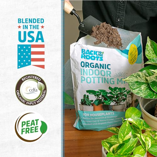 Back to the Roots 100% Organic Indoor Potting Mix (6 Quart), Promotes Healthy Houseplant Growth, Made in The USA - size: 6 Quart, style: Indoor Soil