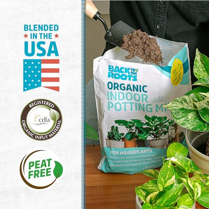 Back to the Roots 100% Organic Indoor Potting Mix (6 Quart), Promotes Healthy Houseplant Growth, Made in The USA - size: 6 Quart, style: Indoor Soil