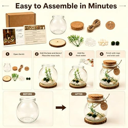 Moss Ball Terrarium Kit – Includes Glass Jar, Cork Lid, Wooden Base, Aquatic Plants, Lucky Clear Quartz & Shells