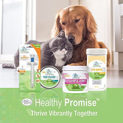 Four Paws Healthy Promise Easy Feeder Pet Feeding Syringe, 2 Count | Convenient syringe feeder, for hand-feeding kittens & puppies, easy to use, pet nursing supplies