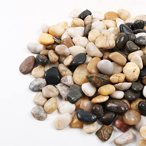 Pebbles for Plants 1.8 lb Natural Garden Decorative Stone Outdoor Polish River Rocks 1-1.5 Inches… - size: 1.8LB, style: Colour