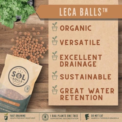 LECA Balls - Lightweight & 100% Natural Hydroponic Clay Pebbles for Plants - Soil Amendments to Improve Drainage, Aeration, and Support Healthy Root Growth - 1 Quart