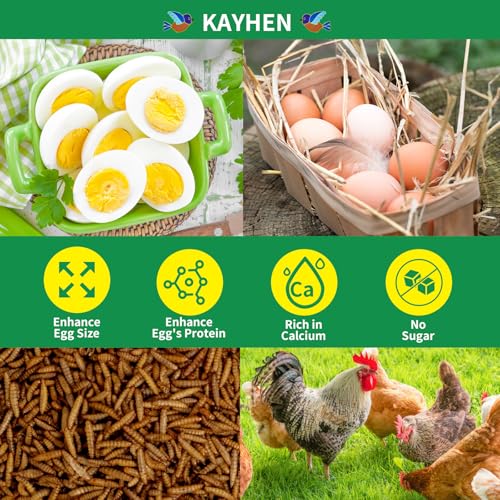 Dried Black Soldier Fly Larvae Treats for Chickens Wild Birds Ducks 5LB | More Calcium Than Mealworms High-Protein Non-GMO Pure Natural - size: 5 Pound (Pack of 1)