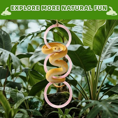 2 PCS Reptile Climbing Loops, Snake Climbing Rings, Snakes Tank Accessories for Ball Python & Climb Pet-Terrarium Enrichment Toys for Snakes, Iguana, Chameleon, Parrot, Lizard (Pink)