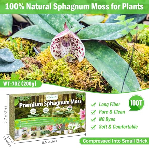Riare 7OZ Premium Sphagnum Moss for Plants- 10QT Natural Dried Plant Moss | Moisture Retention & Drainage Orchid Moss for Repotting, Succulents, Carnivorous, Ferns, Green Moss for DIY Craft, Reptiles - size: 10 QT(Appx.7oz)