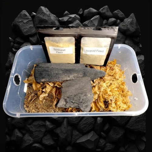 Premium Isopod Habitat Kit | Live Isopod Bundle Cleanup Crew | Live Arrival Nationwide!