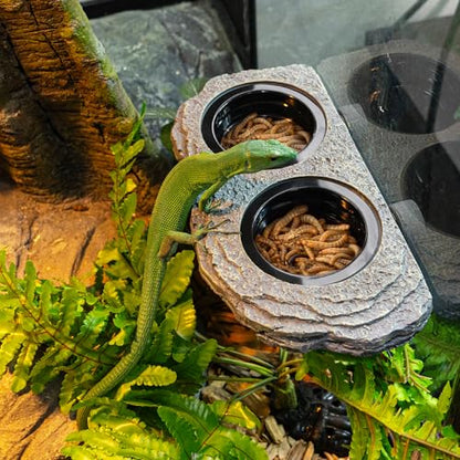 Wacool Magnetic Gecko Ledge - Double Bowl Reptile Feeding Tray with 6 Feeding Cups for Geckos, Lizards, Chameleons and Reptile Pets - size: Dual slots