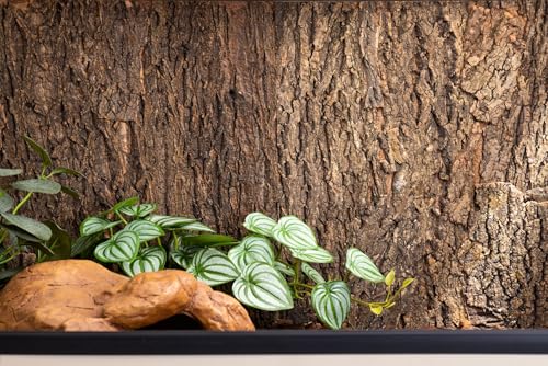 New Age Pet® 48in. Cork Background for Mojave Reptile Lounge - size: 48in.