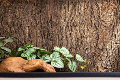 New Age Pet® 72in. Cork Background for Mojave Reptile Lounge - size: 72in.