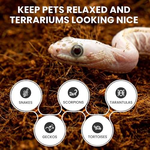 ReptiEarth Reptile Bedding, Fluffy Coconut Fiber Substrate 36 Quart Organic Coco Ready to Use for Bioactive Snake Terrarium, Lizard Tanks with Plants, for Frog, Tarantula or Hermit Crab Habitat - size: 36 Quart